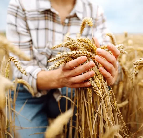 solutii_agricultura5